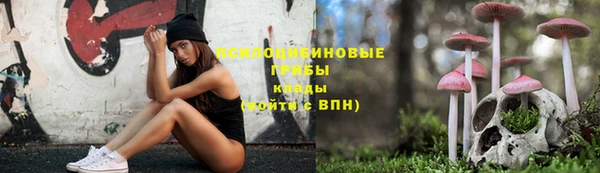 ГАЛЛЮЦИНОГЕННЫЕ ГРИБЫ Баксан