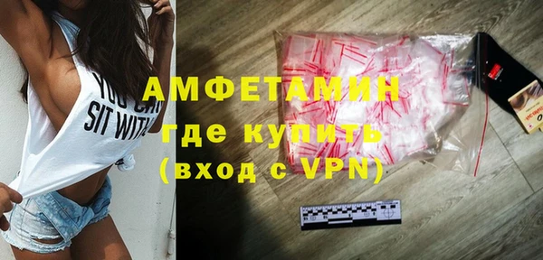 индика Снежногорск