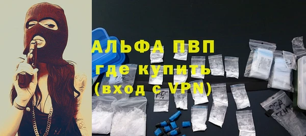 индика Снежногорск