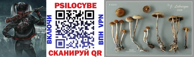 Псилоцибиновые грибы GOLDEN TEACHER  Крымск 